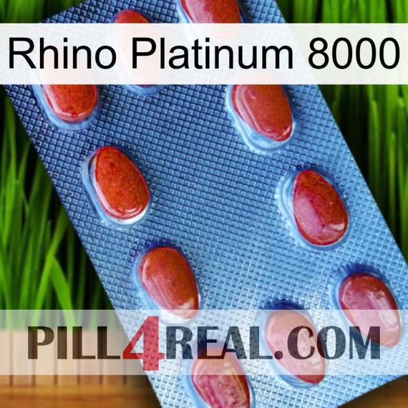 Rhino Platinum 8000 06.jpg